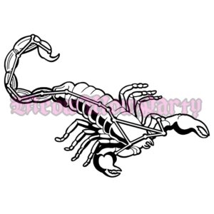 Scorpio