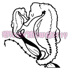 Seahorses