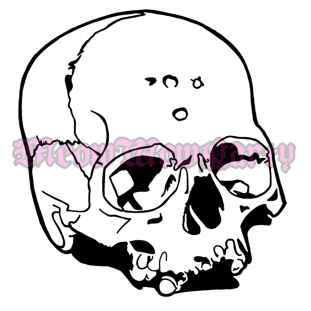 Skull